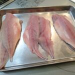 料理教室スタジオソラ　魚のさばき方教室
